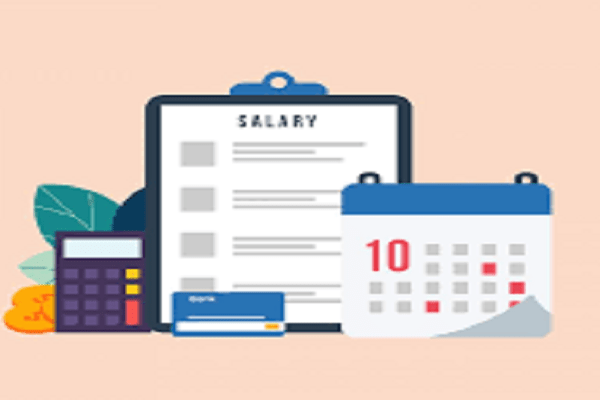 Prepare accurate payroll sheet with Payroll Software in Saudi Arabia