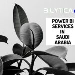 What are the advantages of using Power BI Services in Saudi Arabia?