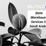 What are the benefits of using Data Warehouse Services in Saudi Arabia?