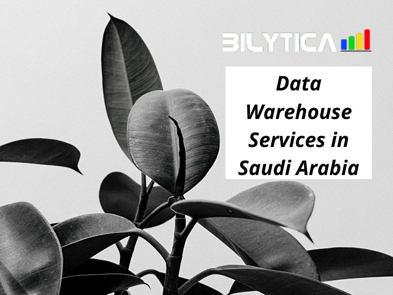 What are the benefits of using Data Warehouse Services in Saudi Arabia?